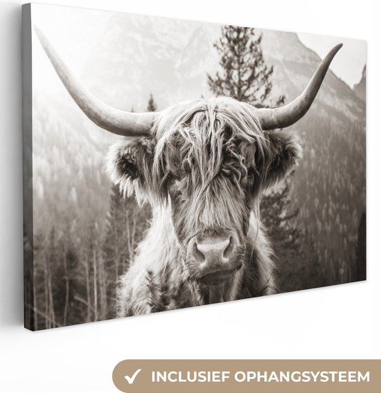 Tableau sur toile Highlander écossais - Vache - Animaux - Zwart - Wit - 120x80 cm - Décoration murale