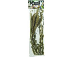 Back Zoo Nature Millet Setaria - Natuurlijke Vogelvoeding - 30g, Alternatief voor Trosgierst