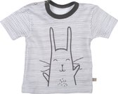 Plum Plum - T-shirt korte mouwen - Bunny - Gestreept