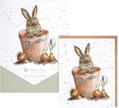 Wrendale Card Set - 8 pièces - The Flower Pot - Rabbit Notecard Pack - 8 cartes doubles avec enveloppe