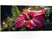 PVC Schuimplaat - Bloem - Druppels - Roze - 100x50 cm Foto op PVC Schuimplaat (Met Ophangsysteem)