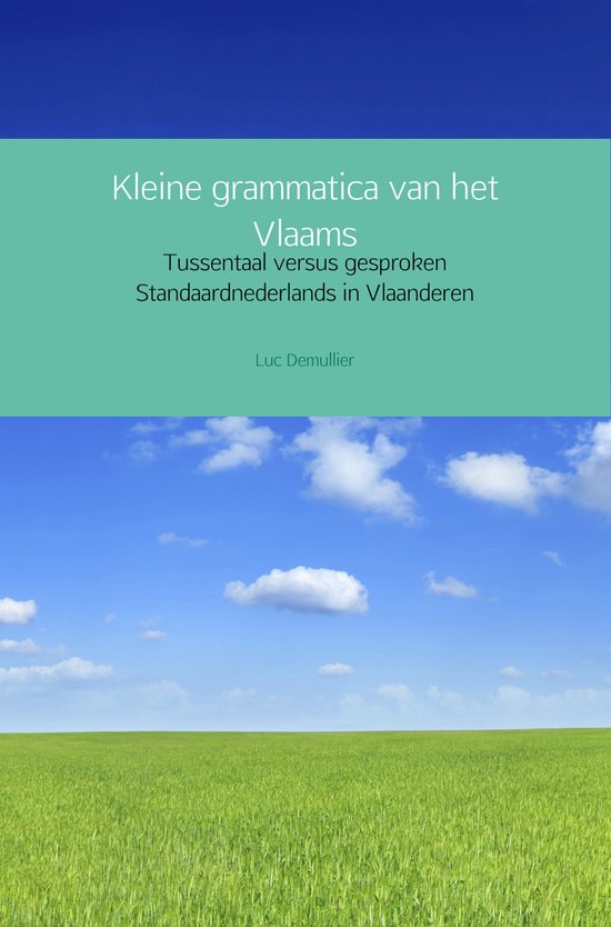 Kleine grammatica van het Vlaams - cover
