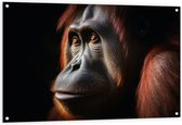 Tuinposter – Zijaanzicht van Relaxte Orang Oetan - 120x80 cm Foto op Tuinposter (wanddecoratie voor buiten en binnen)