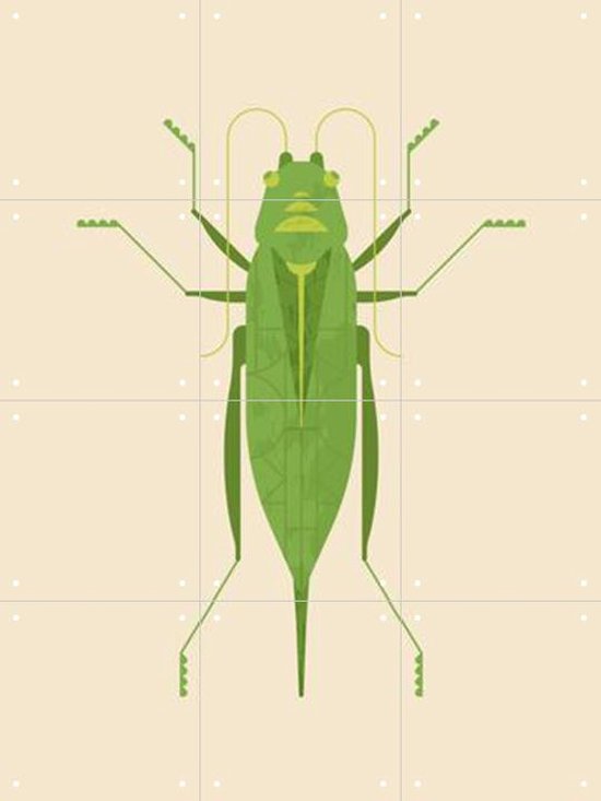 IXXI Large Green Saber Grasshopper - Wanddecoratie - Dieren en insecten - 60 x 80 cm
