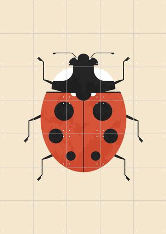 IXXI The Ladybug - Wanddecoratie - Dieren en insecten - 100 x 140 cm