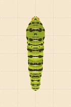 IXXI The Queen Page Caterpillar - Wanddecoratie - Dieren en insecten - 80 x 120 cm
