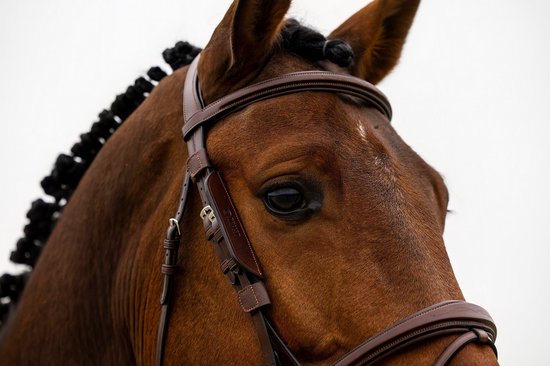 Trust Blinkers Brown - Full | Zwart | Hoofdstel accessoires paard Trust Blinkers Brown - Full | Zwart | Hoofdstel accessoires paard