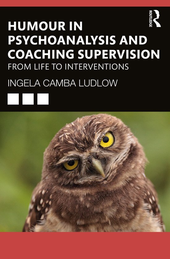Humour in Psychoanalysis and Coaching Supervision - cover
