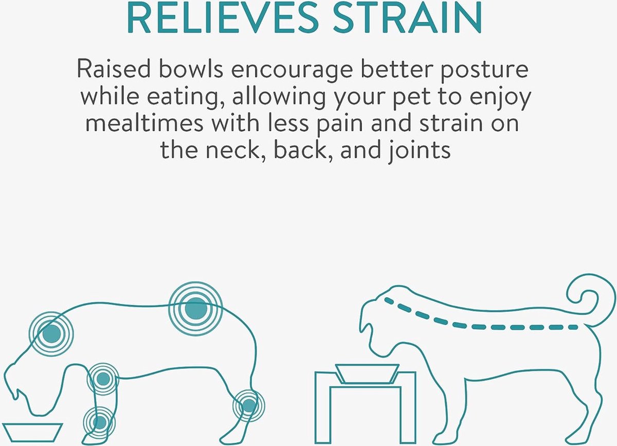 Voerbak voor katten en honden, verhoogde en hellende kom met standaard, glazen schaal voor katten en kleine honden, anti-braken, orthopedische voerbak voor water en voer, 450 ml