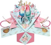 3D Pop-up wenskaart met envelop –Love Birds Romantic pop 199