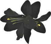 Zac's Alter Ego Haarbloem Double lily Zwart