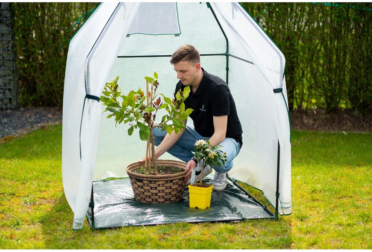 Westmann Chili housse d’hivernage pour plantes