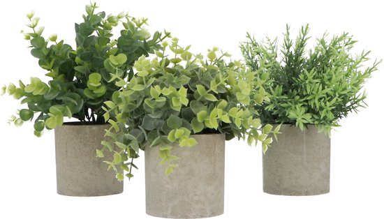 Foto: Greendream kunstplanten kleine kunstplanten kamerplanten 3 stuks kunstplanten 20cm hoogte