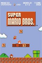 Super Mario Bros Monde 1-1 - Maxi Poster