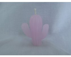 Kaars, Cactus, Roze, Rozengeur