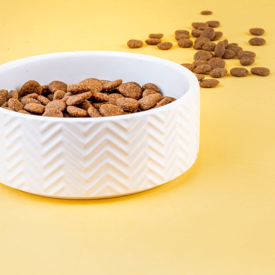 NATURE'S VARIETY No Grain Perro Mini Adulto con salmón sin cereales para perro de tamaño pequeño