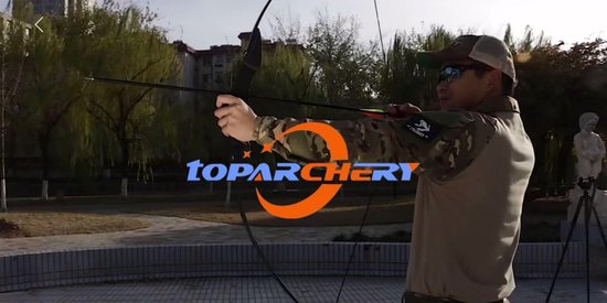 Flèche et arc Top Archery pour Adultes - Tir à l'arc - Comprend 12 flèches  - Gaucher
