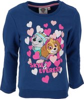 Paw Patrol Sweater