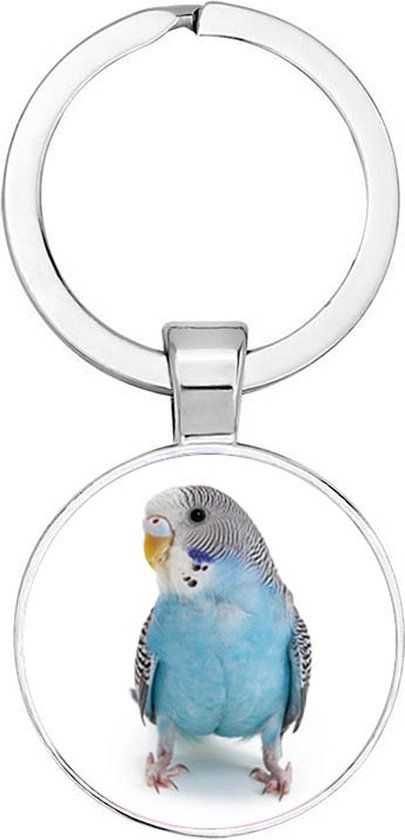 Akyol - Porte-clés Perruche bleu - oiseaux - amoureux des oiseaux - amoureux des animaux - amour - cadeau d'anniversaire - cadeau - présent - présent - 2,5 x 2,5 cm