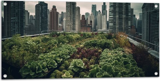 Tuinposter – Stad - Gebouwen - Planten - Groen - 100x50 cm Foto op Tuinposter (wanddecoratie voor buiten en binnen)