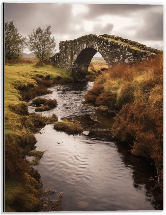 Dibond - Water - Beekje - Gras - Landschap - Brug - Bomen - 30x40 cm Foto op Aluminium (Wanddecoratie van metaal)