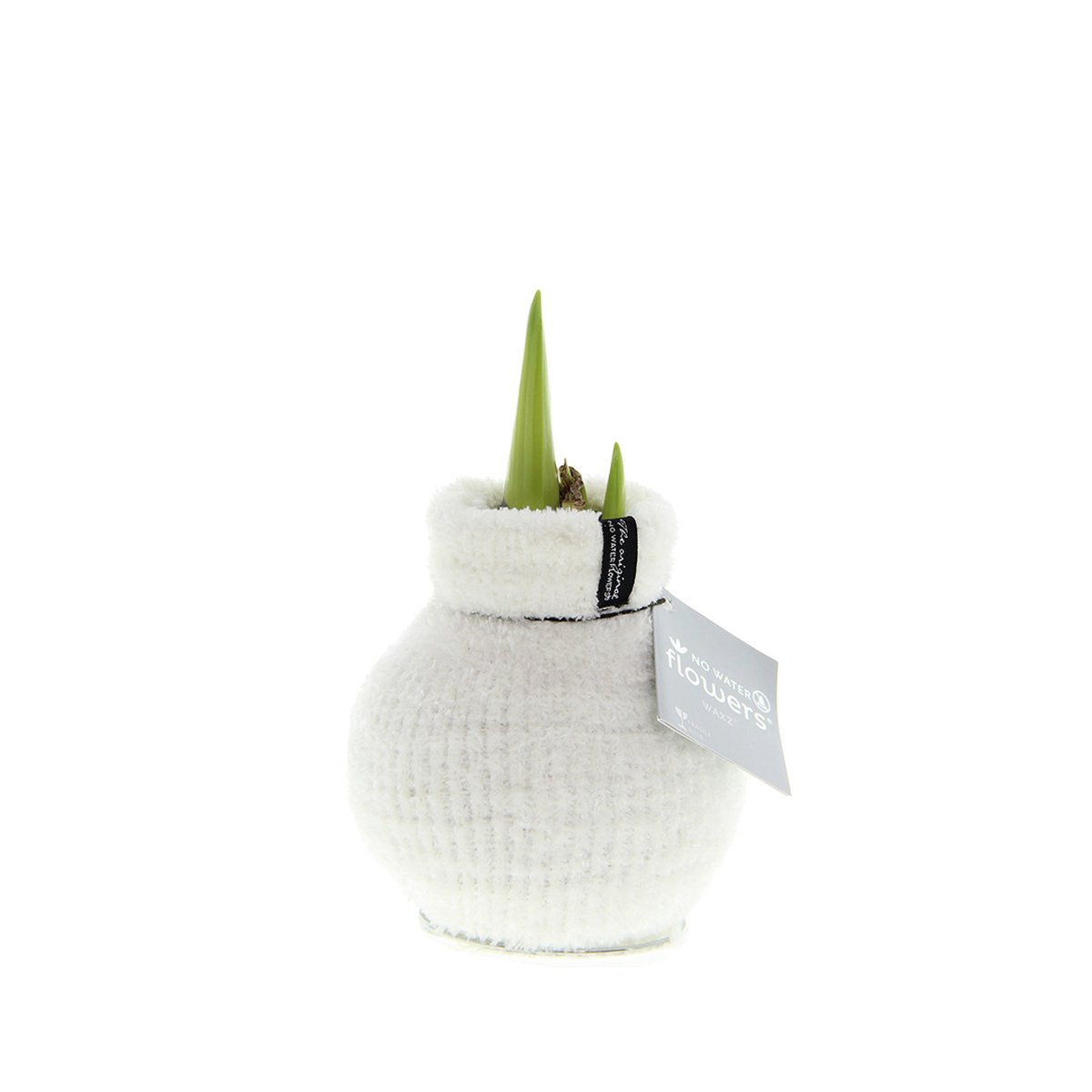 No Water Flowers® Fashionz Cozy Fluffy White