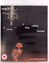 Dog Called Money