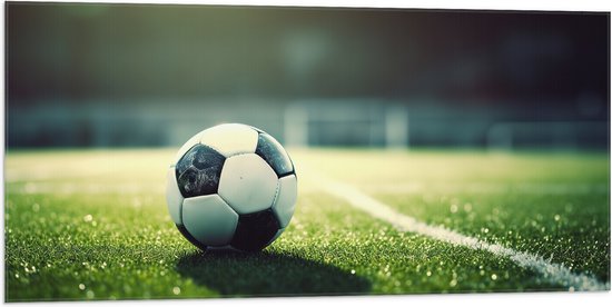 Vlag - Veld - Bal - Voetbal - Lijn - 100x50 cm Foto op Polyester Vlag