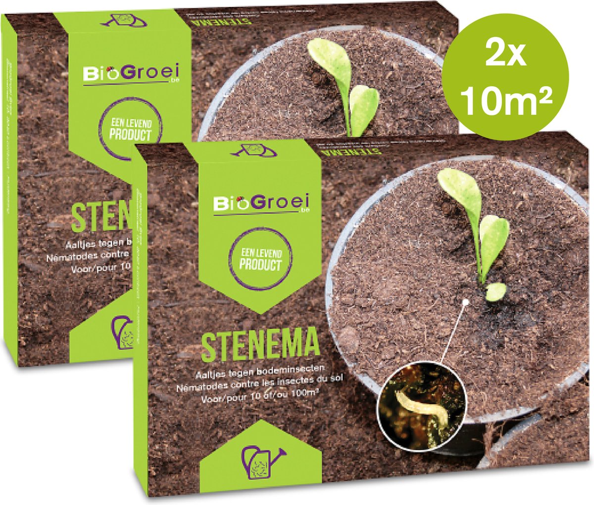 2x Aaltjes tegen rouwvliegjes 10m2 - 2x Stenema 10m2 - Steinernema feltiae