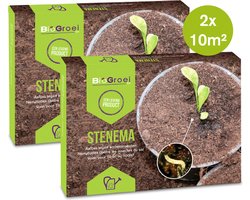 Voordeelpakket - 2x Aaltjes tegen rouwvliegjes 10m2 - 2x Stenema 10m2 - zwarte vliegjes bij kamerplanten bestrijden