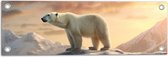 Tuinposter – Ijsbeer - Dier - Ijs - Sneeuw - Wit - 60x20 cm Foto op Tuinposter (wanddecoratie voor buiten en binnen)