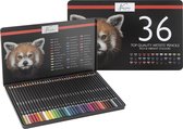 Nassau Fine Art Crayons de couleur professionnels 36 pièces – Couleurs riches et éclatantes – Numérotés et codés couleur – Comprend une feuille de test de couleur – Boîte de rangement robuste