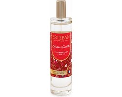 Esteban Kerst Blackcurrant Cherry roomspray 50ml