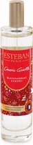 Esteban - Edition Limited Noël - Spray d'ambiance - Cassis Cherry - Parfum fruité-vanillé - 50 ml