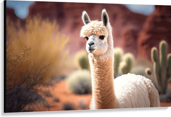 Canvas - Dier - Lama - Wit - Planten - Cactus - 150x100 cm Foto op Canvas Schilderij (Wanddecoratie op Canvas)