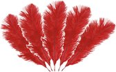 Chaks Struisvogelveren/sierveren - 5x - rood - 20-25 cm - decoratie/hobbymateriaal