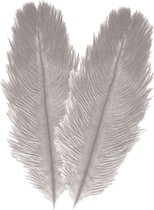 Chaks Struisvogelveren/sierveren - 2x - licht grijs - 30-35 cm - decoratie/hobbymateriaal