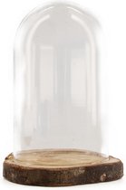 Dijk Natural Collections cloche - verre - plateau disque d'arbre marron en bois - D17 x H22 cm