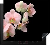 Inductie beschermer - Inductie afdekplaat - Bloemen - Orchidee - Zwart - Roze - Botanisch - Inductie beschermingsmat - 60x52 cm - Keuken decoratie - Inductie fornuis - Keuken accessoires