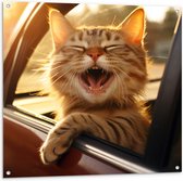 Tuinposter – Dier - Kat - Auto - Lachen - Tanden - 100x100 cm Foto op Tuinposter (wanddecoratie voor buiten en binnen)