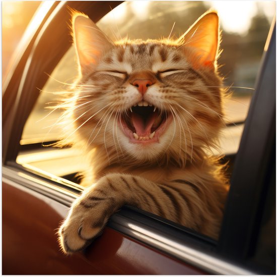 Poster Glanzend – Dier - Kat - Auto - Lachen - Tanden - 100x100 cm Foto op Posterpapier met Glanzende Afwerking