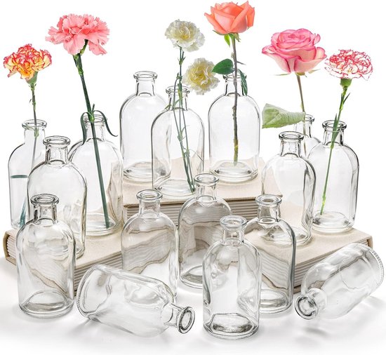 16-delige Living Bud-vazen, bloemenvaas van helder glas, decoratieve flesvaas van 250 ml, glazen vaas, kleine vazen voor huisdecoratie, centerpieces, kantoortafeldecoratie, bruiloftsreceptie, vintage