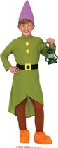 Guirca - Dwerg & Kabouter Kostuum - Een Van De Zeven Dwergen Kind Kostuum - Groen - 5 - 6 jaar - Carnavalskleding - Verkleedkleding