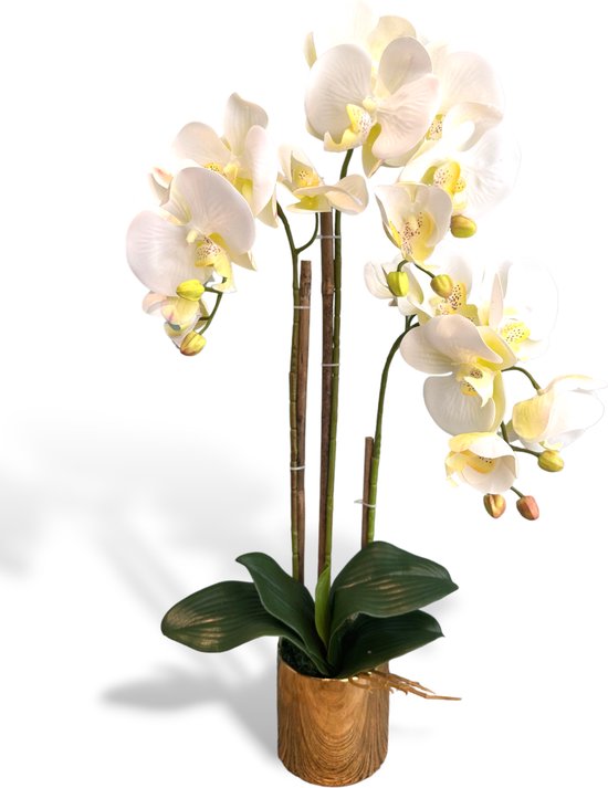 Orchidee Wit Kunstbloem Met Goudkleurige Pot 60cm | Flora City | Kunstbloem kunstplant | Kunstorchidee | Nep orchidee | Levensechte Kunstorchidee