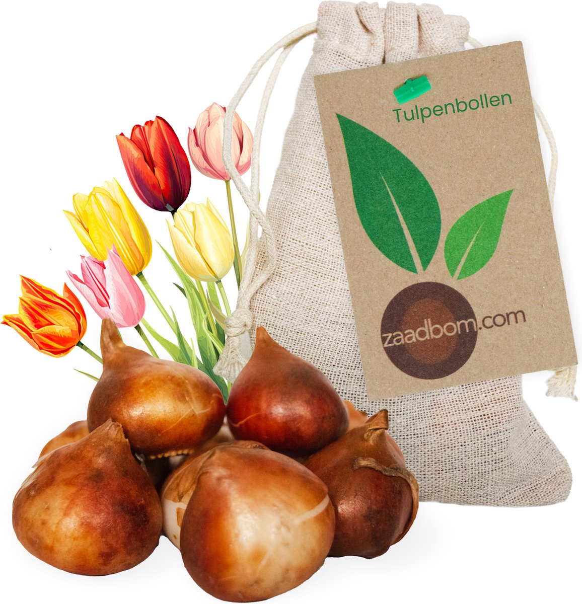 7 Tulpenbollen in Jute zakje - Rode Tulpen - Bloembollen - Tulpen - Tulp Parade - Bloemen - cadeau -Zaadbom.com