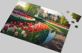 Tulpen Puzzel - Kleurrijk Tulpenlandschap van 500 Stukjes - Betoverende Bloemenpuzzel - Hoogwaardige Kartonnen Puzzel - Ontspannende Tijdverdrijf - Tulp liefhebbers - Gedetailleerde Bloemenpracht