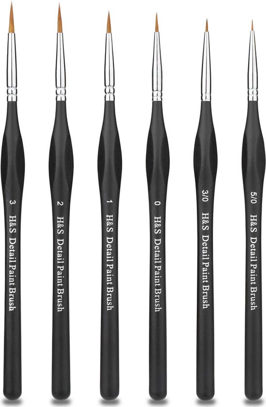 H&S Detail Paint Brushes Set 6 stks Artiest Paint Brush Fine Tip