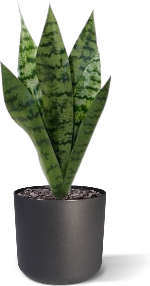 maxifleur Kunstplanten Sanseveria kunstplant 40cm - groen