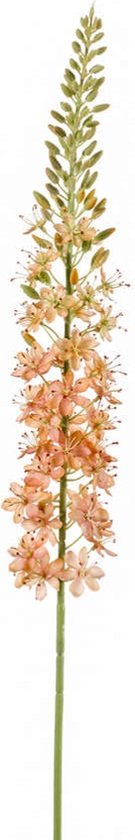 Kunstbloemen - Zijde Bloemen - Nep bloemen Luxe Bloemen - Eremurus 100 cm - Natuurlijk Bloemen