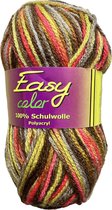 Easy Color - 3 bollen gemêleerd acryl garen (1353) in kleuren bruin/oker